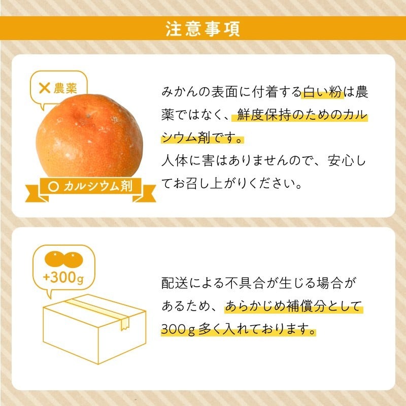 ZE6424_【2026年先行予約】【家庭用】 和歌山県産　有田みかん 約10kg (S～Lサイズ混合)【まごころ手選別】
