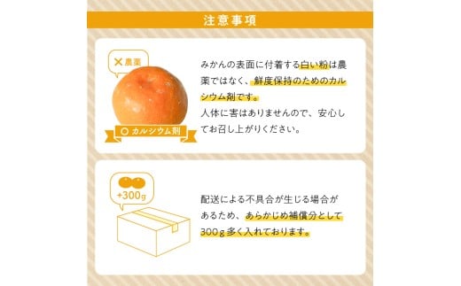 ZE6519_【2026年先行予約】【秀品】和歌山県産　有田みかん 約10kg （S～Ｌサイズ混合）【まごころ手選別】