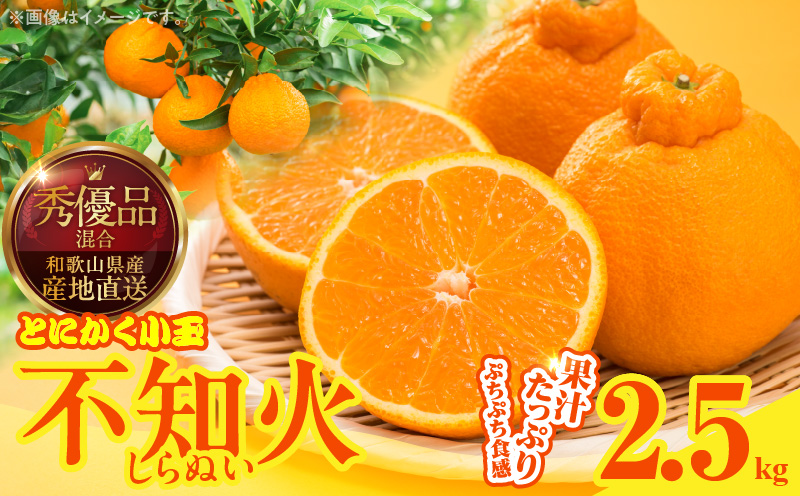 MK1018_不知火 (しらぬい) とにかく小玉 箱込 2.5kg (内容量約2.3kg) 秀品 優品 混合