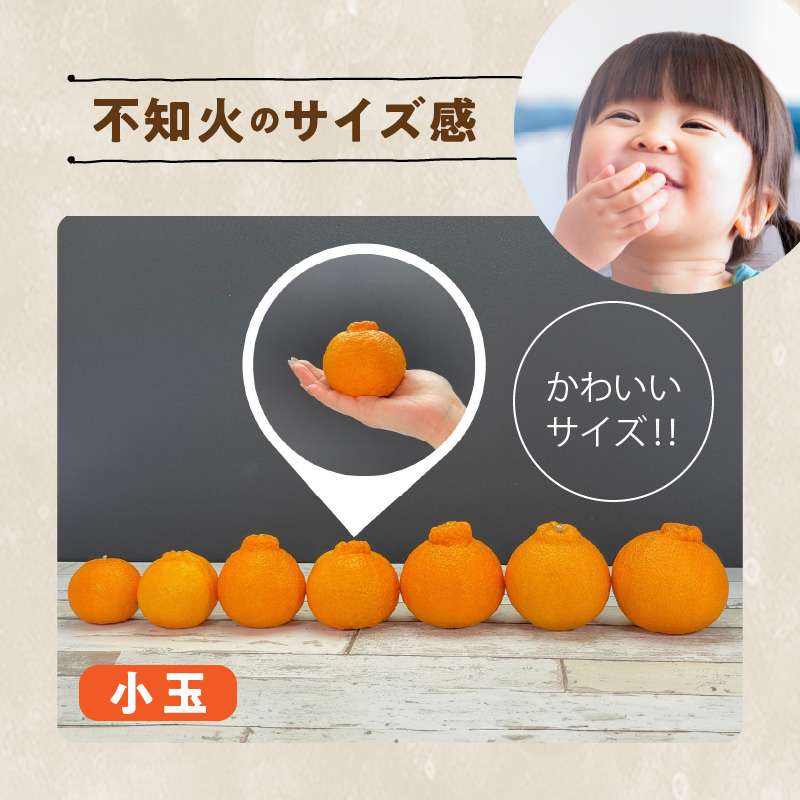 MK1018_不知火 (しらぬい) とにかく小玉 箱込 2.5kg (内容量約2.3kg) 秀品 優品 混合