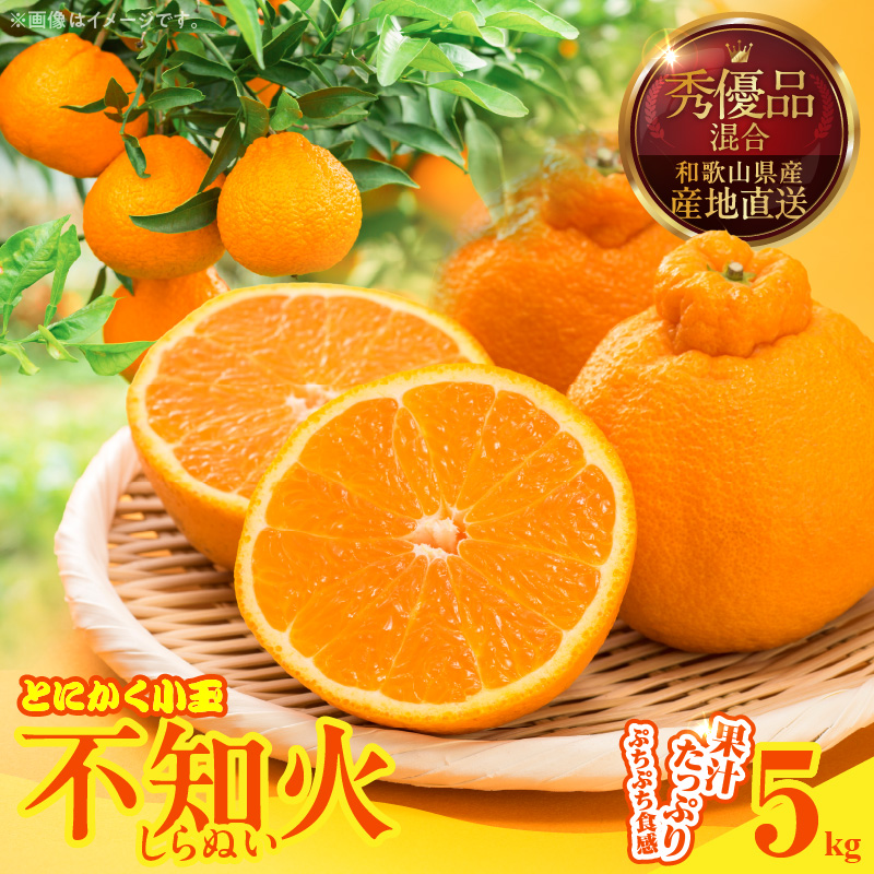 MK1017_不知火 (しらぬい) とにかく小玉 箱込 5kg (内容量約4.4kg) 秀品 優品 混合