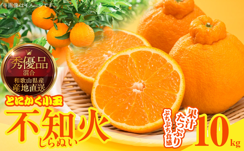 MK1015_不知火 (しらぬい) とにかく小玉 箱込 10kg (内容量約9.2kg) 秀品 優品 混合