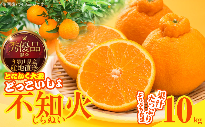 MK1012_不知火 (しらぬい) とにかく大玉 どっこいしょ 箱込 10kg (内容量約 9.2kg) 秀品 優品 混合