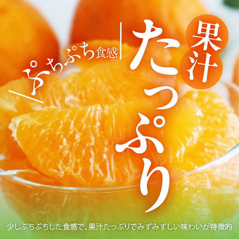 MK1013_不知火 (しらぬい) 秀品 玉ぞろい 箱込 5kg (内容量約4.4kg) 