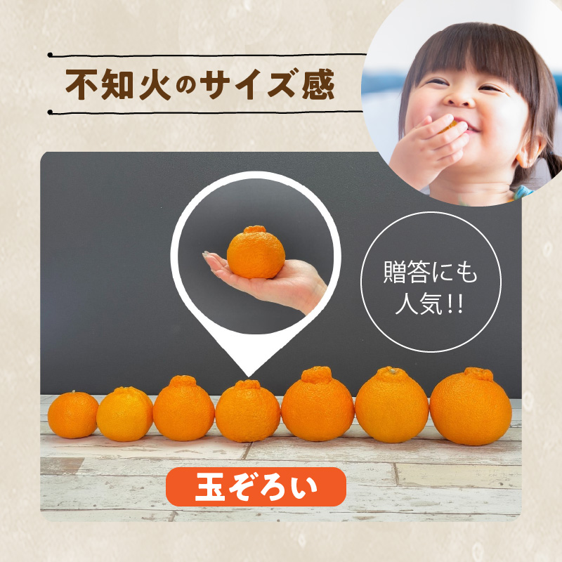 MK1013_不知火 (しらぬい) 秀品 玉ぞろい 箱込 5kg (内容量約4.4kg) 