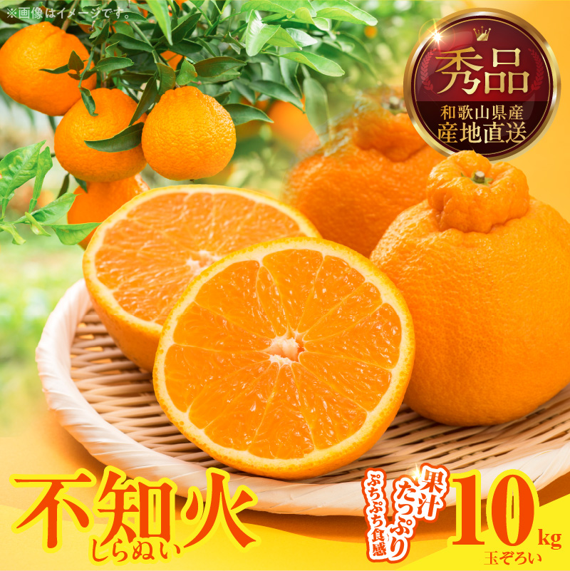 MK1010_不知火 (しらぬい) 秀品 玉ぞろい 箱込 10kg (内容量約9.2kg) 