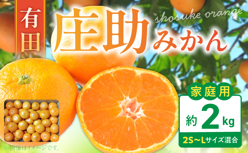 BK6017_【2026年先行予約】庄助みかん (家庭用・サイズ混合) 約2kg