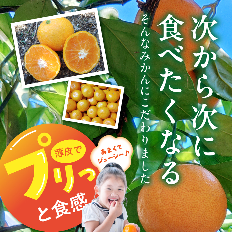 BK6017_【2026年先行予約】庄助みかん (家庭用・サイズ混合) 約2kg