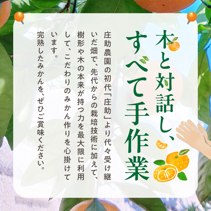 BK6017_【2026年先行予約】庄助みかん (家庭用・サイズ混合) 約2kg