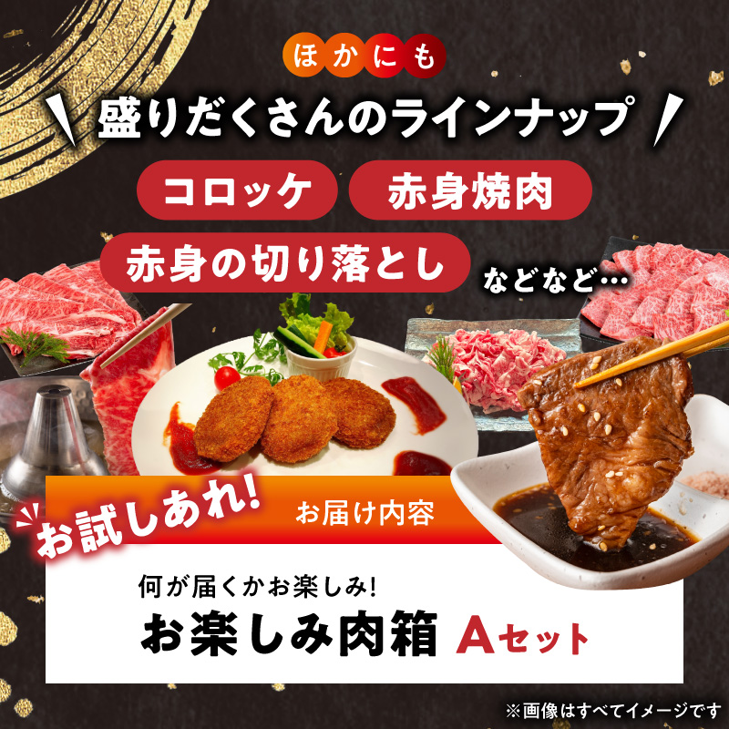 BN6134_お楽しみ肉箱 Aセット お試し ドキドキ 黒毛和牛 ハンバーグ ステーキ ロース ヒレ 焼肉 すき焼き しゃぶしゃぶ 盛り合わせ コロッケ ローストビーフ 食品 和歌山県 湯浅町 送料無料