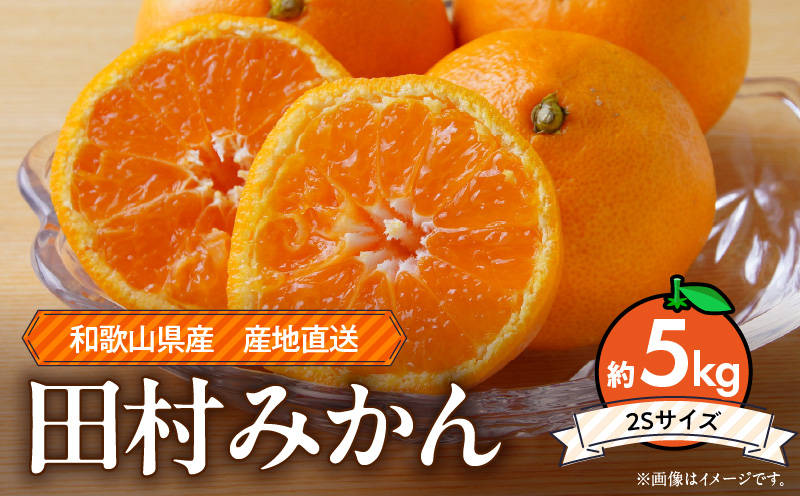 ZE6486_【2026年先行予約】和歌山 湯浅町産 田村みかん 約5kg【2Sサイズ】