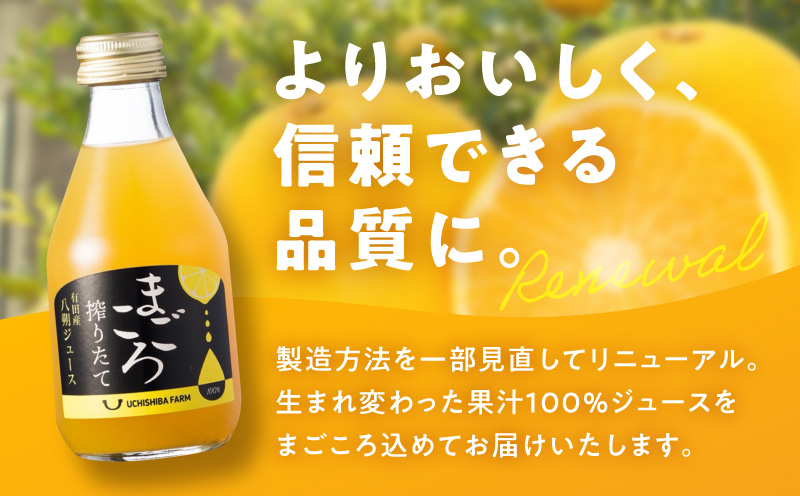 ZE6426_【まごころ搾りたて】八朔ジュース100％ 180ml×6本