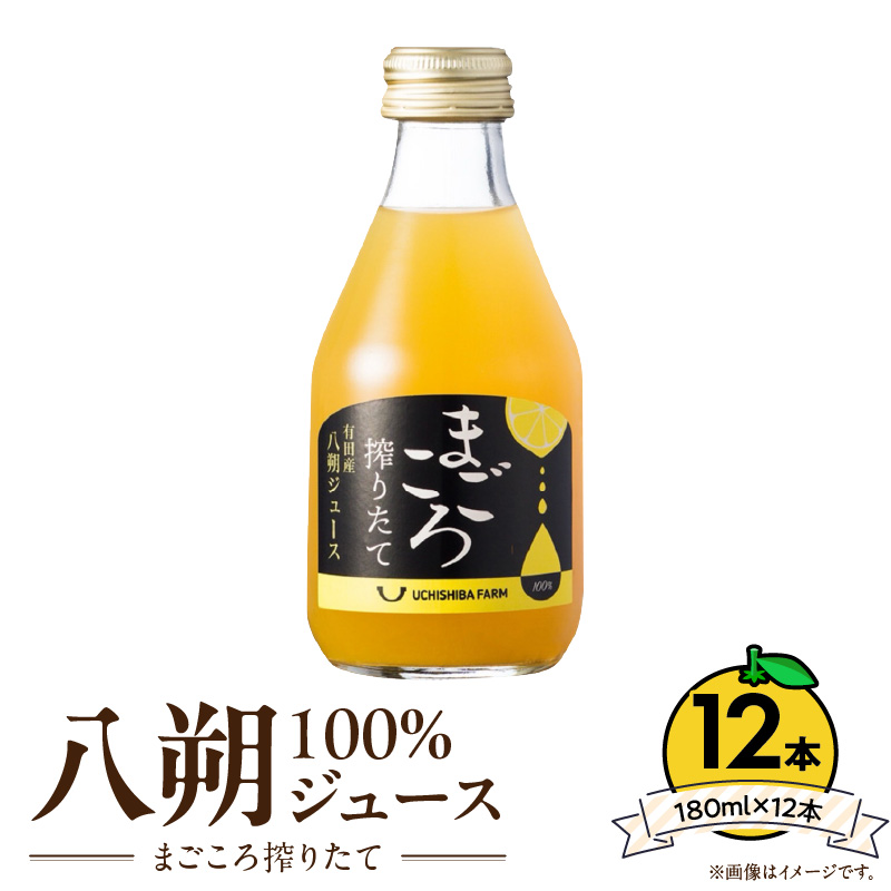ZE6427_【まごころ搾りたて】八朔ジュース　100％ 180ml×12本