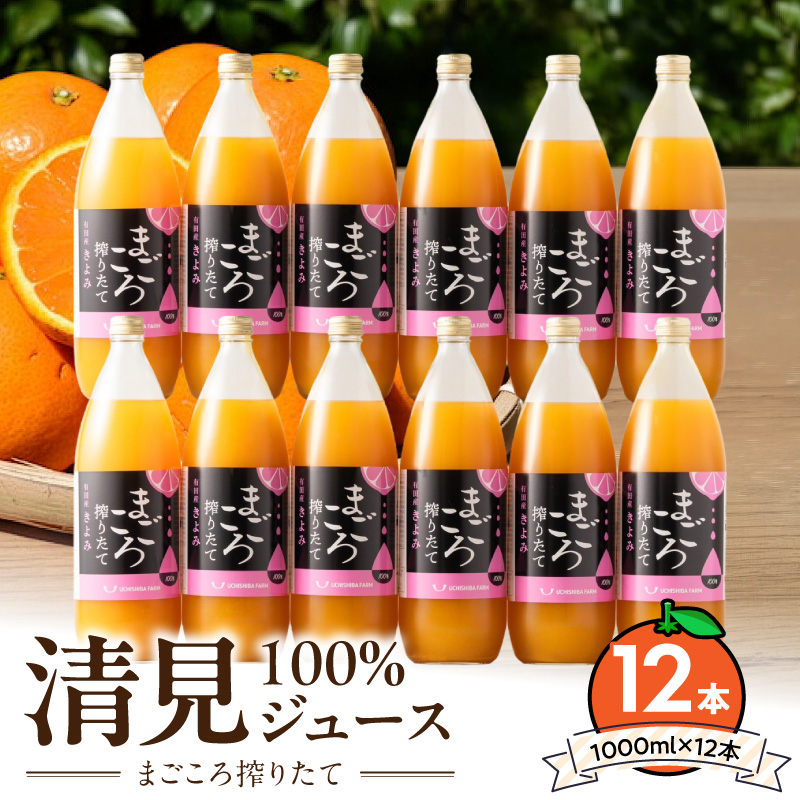 ZE6523_【まごころ搾りたて】清見100%ジュース 1000ml×12本