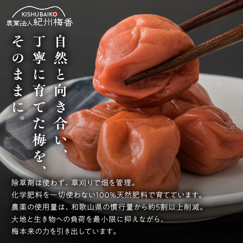 KS1001_梅干し 訳ありはちみつ梅干 塩分6% 蜂蜜漬け約1kg