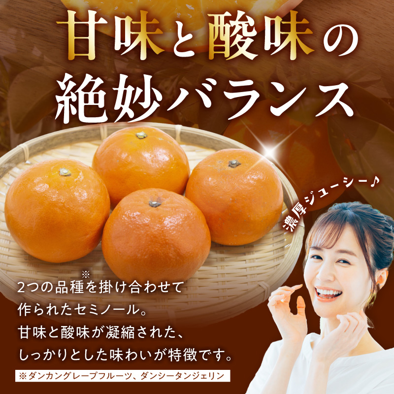 【2027年先行予約】ジューシー柑橘 セミノールオレンジ 約5kg_G7373