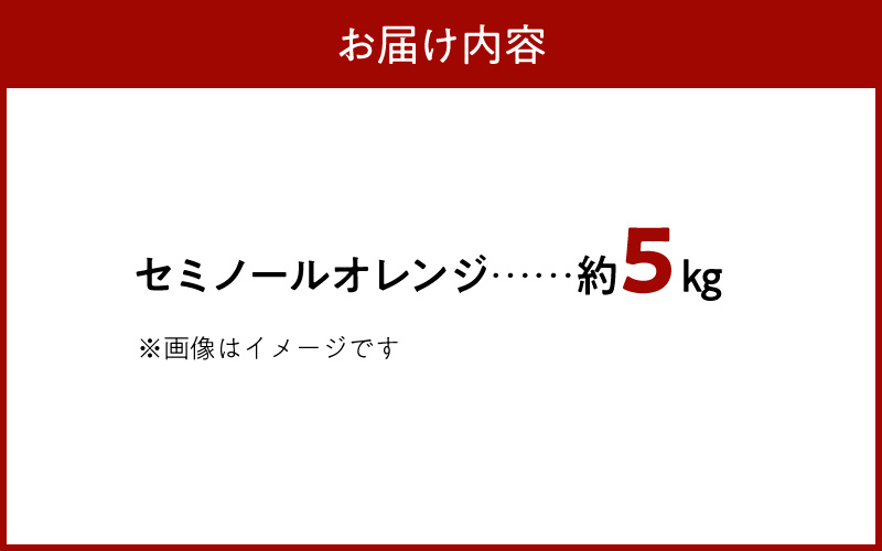 【2027年先行予約】ジューシー柑橘 セミノールオレンジ 約5kg_G7373