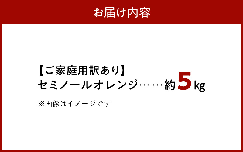 【2027年先行予約】【ご家庭用訳あり】ジューシー柑橘 セミノールオレンジ 約5kg_G7374