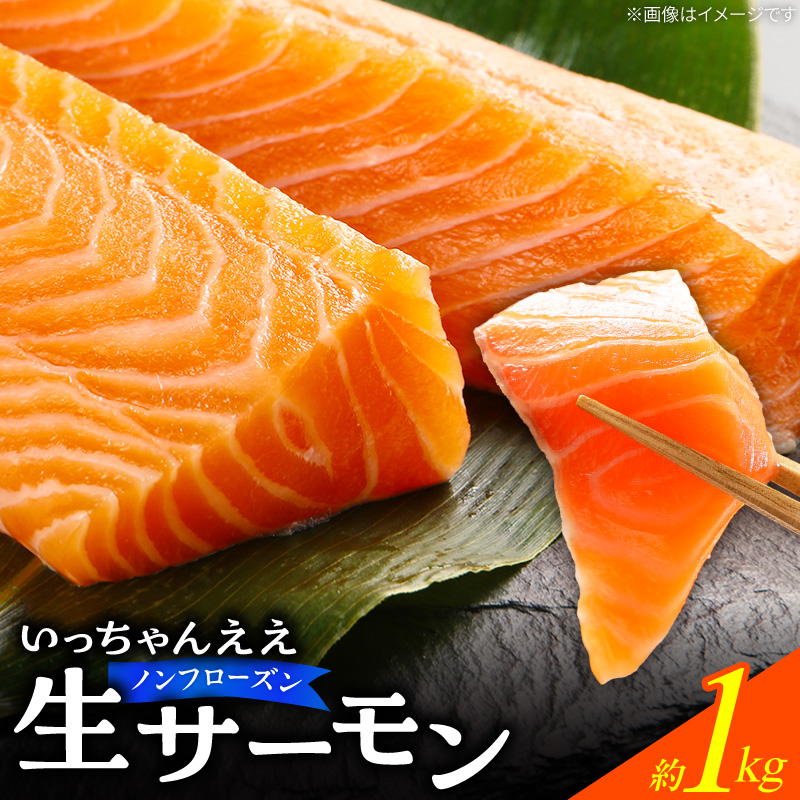 いっちゃんええ【ノンフローズン】生サーモン 全て手作業 約1kg_FJ1001