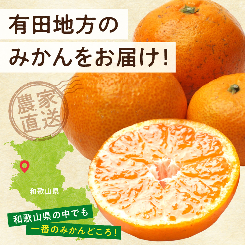 《2026年11月上旬～2027年1月下旬頃に順次発送》【2026年先行予約】家庭用 完熟有田みかん約2.5kg+250g（傷み補償分）【わけあり・訳あり】【光センサー選果】_ZH7127