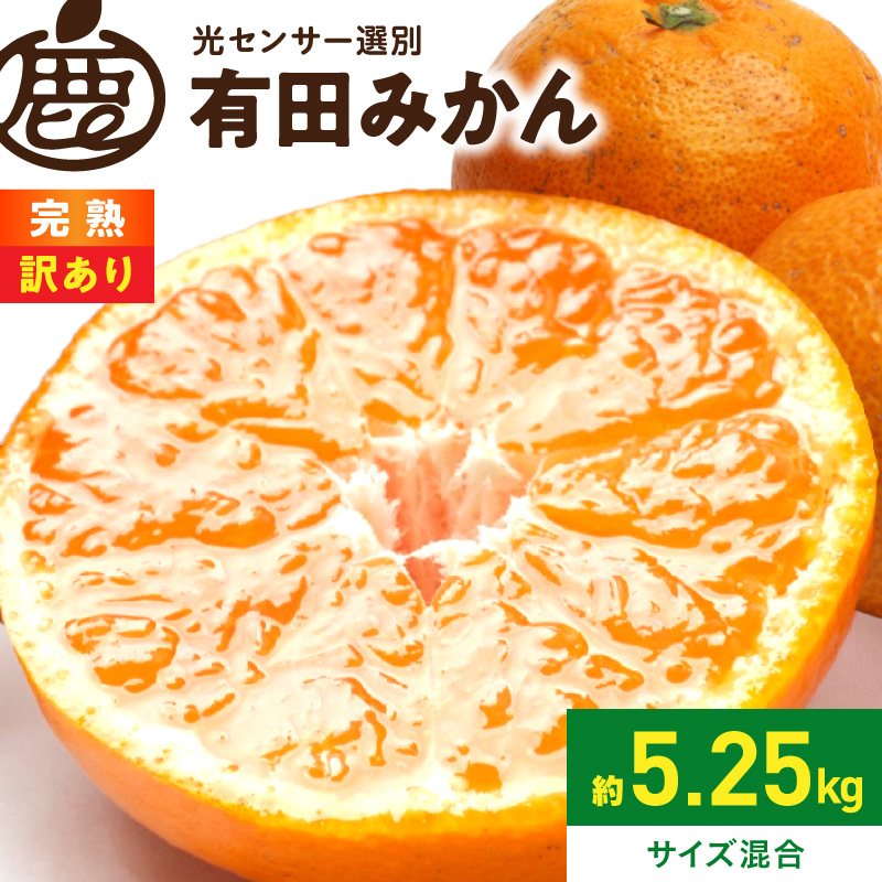 《2026年11月上旬～2027年1月下旬頃に順次発送》【2026年先行予約】家庭用 完熟有田みかん約5kg+250g（傷み補償分）【わけあり・訳あり】【光センサー選果】_ZH7128