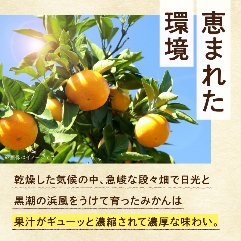 《2026年11月上旬～2027年1月下旬頃に順次発送》【2026年先行予約】家庭用 完熟有田みかん約5kg+250g（傷み補償分）【わけあり・訳あり】【光センサー選果】_ZH7128