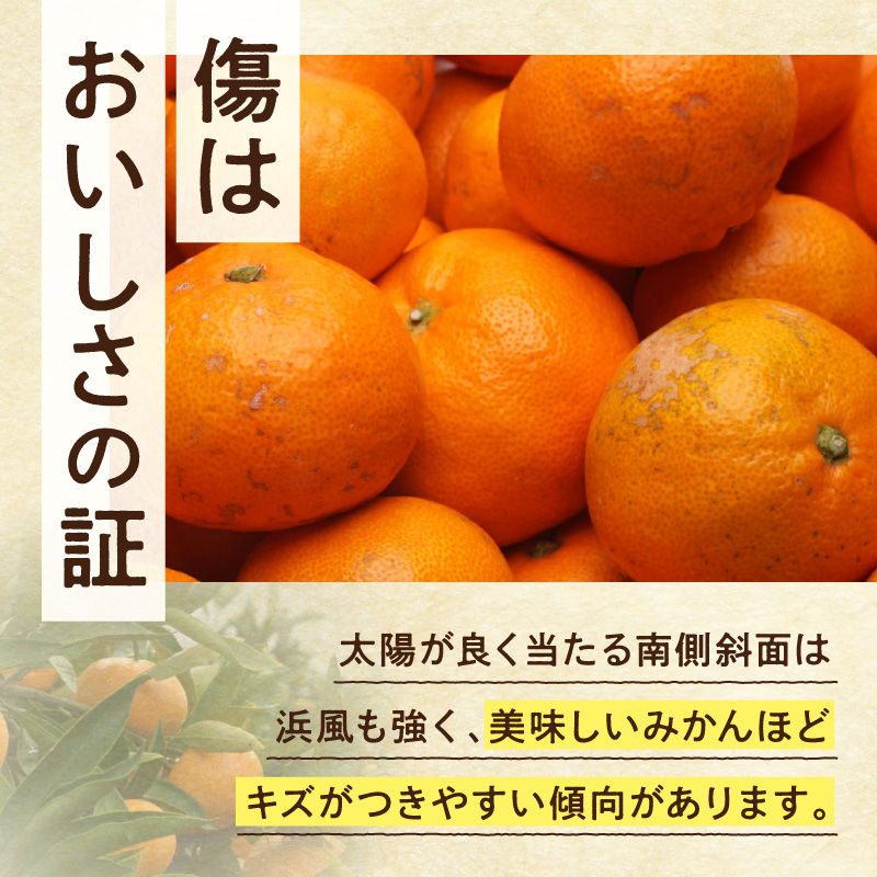 《2026年11月上旬～2027年1月下旬頃に順次発送》【2026年先行予約】家庭用 完熟有田みかん約5kg+250g（傷み補償分）【わけあり・訳あり】【光センサー選果】_ZH7128