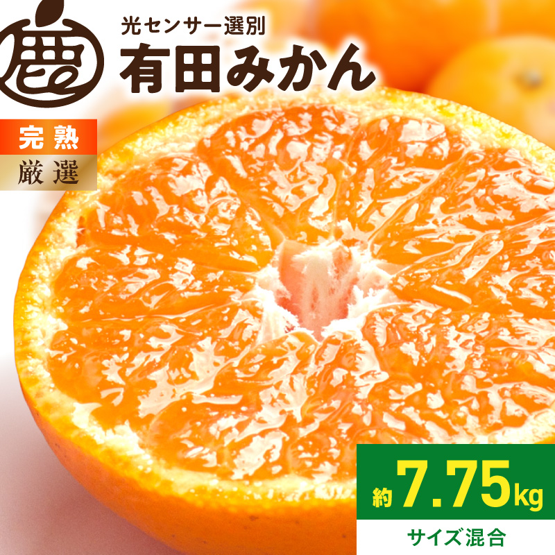 《2026年11月上旬～2027年1月下旬頃に順次発送》【2026年先行予約】厳選 完熟有田みかん約7.5kg+250g（傷み補償分）【光センサー選果】_ZH7060