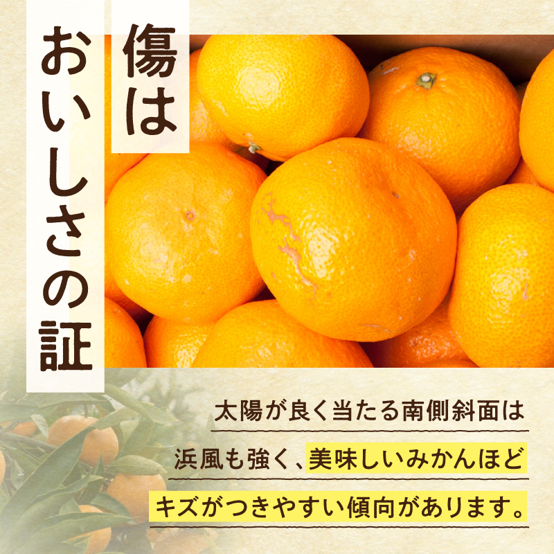 《2026年11月上旬～2027年1月下旬頃順次発送》【2026年先行予約】家庭用 大きな有田みかん約10kg+250g（傷み補償分）【わけあり・訳あり】【光センサー選果】_ZH7120