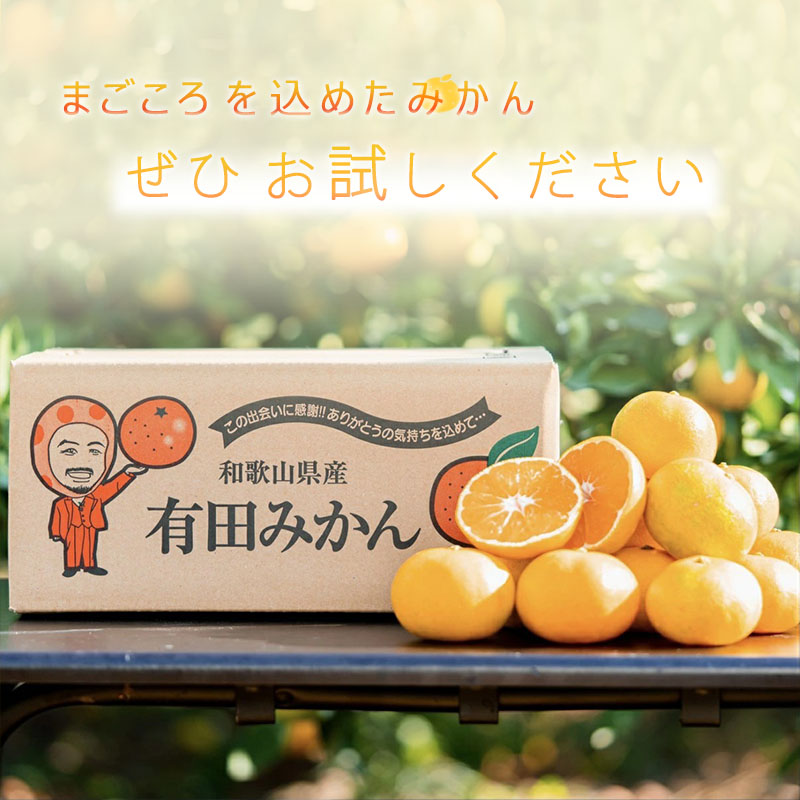 【2027年先行予約】和歌山県産 有田の 八朔 (はっさく) 約10kg 小玉 【2S～Mサイズ混合】まごころ手選別 _ZE6154n