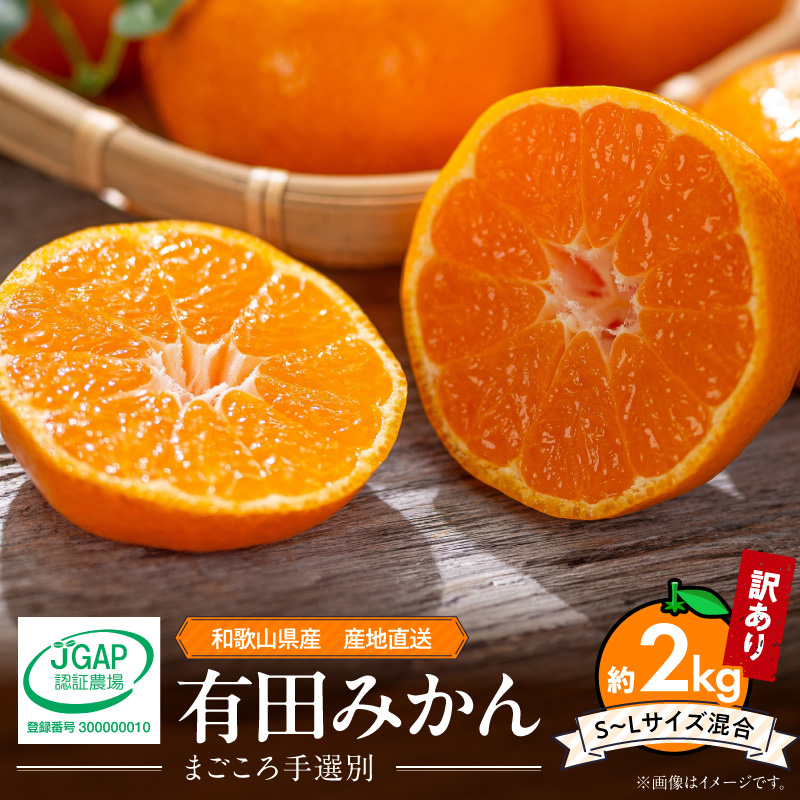 【2026年先行予約】【家庭用】和歌山県産　有田みかん 約2kg (S～Lサイズ混合)【まごころ手選別】_ZE6517