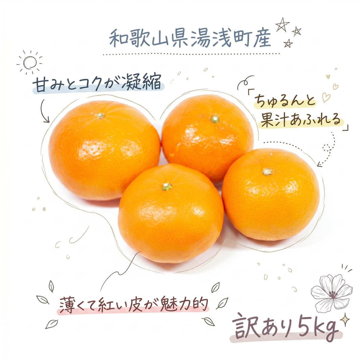 【2027年先行予約】《訳あり 家庭用》麗紅 約5kg（S～2Lサイズ混合）_EQ6004