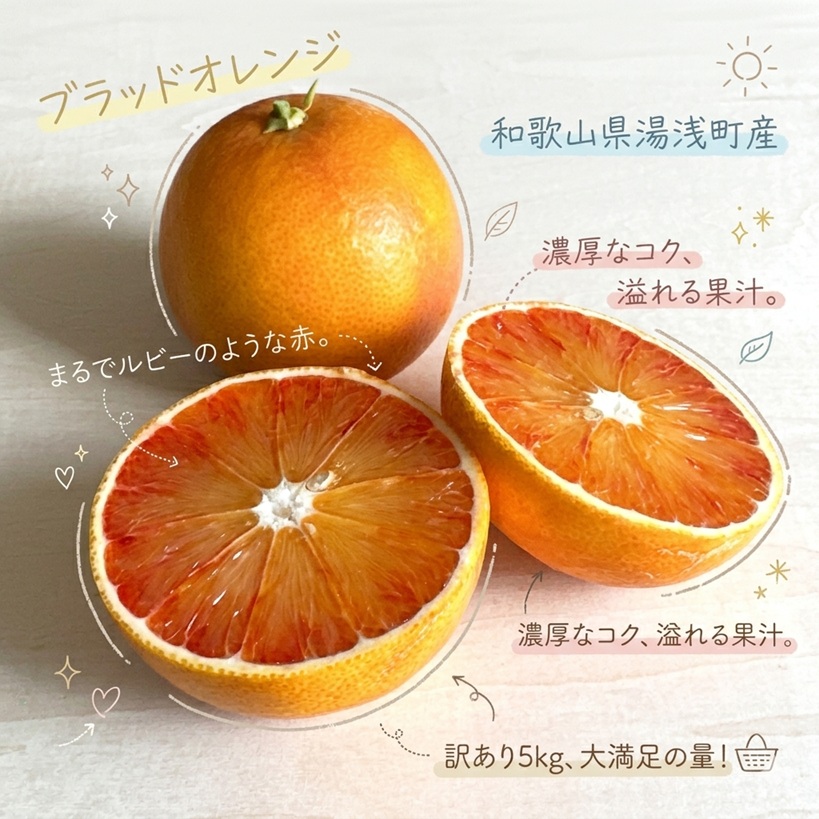 【2027年先行予約】《訳あり 家庭用》ブラッドオレンジ 約5kg（S～2Lサイズ混合）_EQ6012