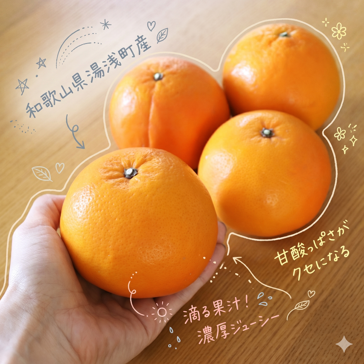 【2027年先行予約】《訳あり 家庭用》セミノール 約5kg（S～2Lサイズ混合）_EQ6010