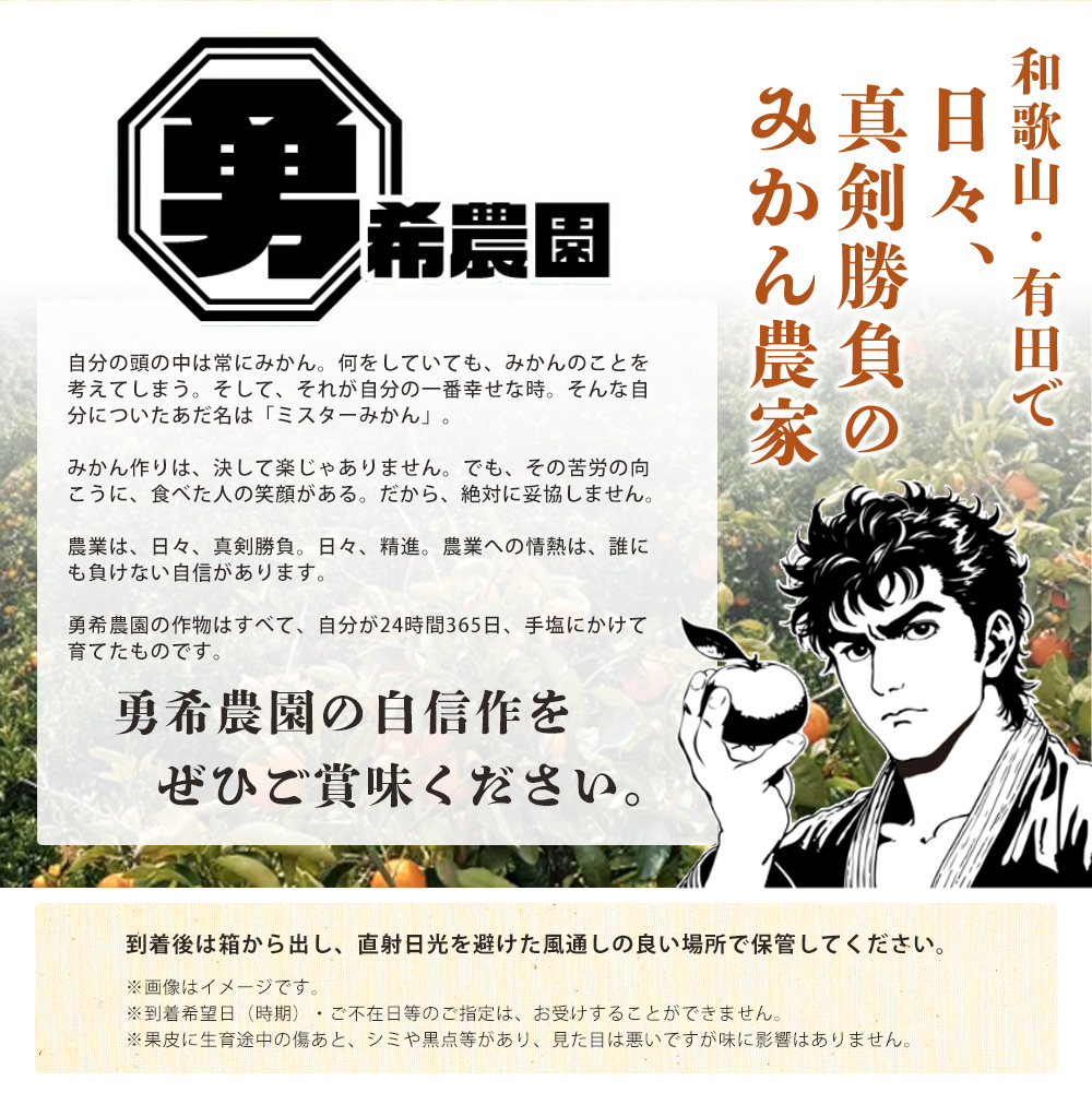 縲2027蟷エ蜈郁。御コ育エ縲代願ィウ縺ゅj 螳カ蠎ュ逕ィ縲九そ繝溘ヮ繝シ繝ォ 邏5kgシSス2L繧オ繧、繧コ豺キ蜷茨シ雲EQ6010
