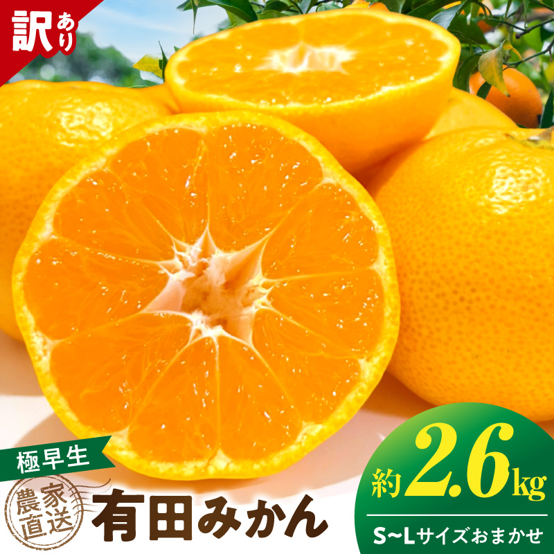 《2026年11月上旬～11月中旬頃までに順次発送予定》【2026年先行予約】【数量限定】有田みかん 極早生 約2.6kg 訳あり_TR1001