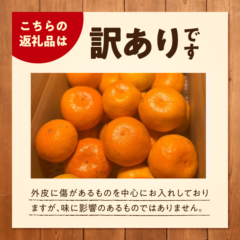 《2026年11月上旬～11月中旬頃までに順次発送予定》【2026年先行予約】【数量限定】有田みかん 極早生 約2.6kg 訳あり_TR1001