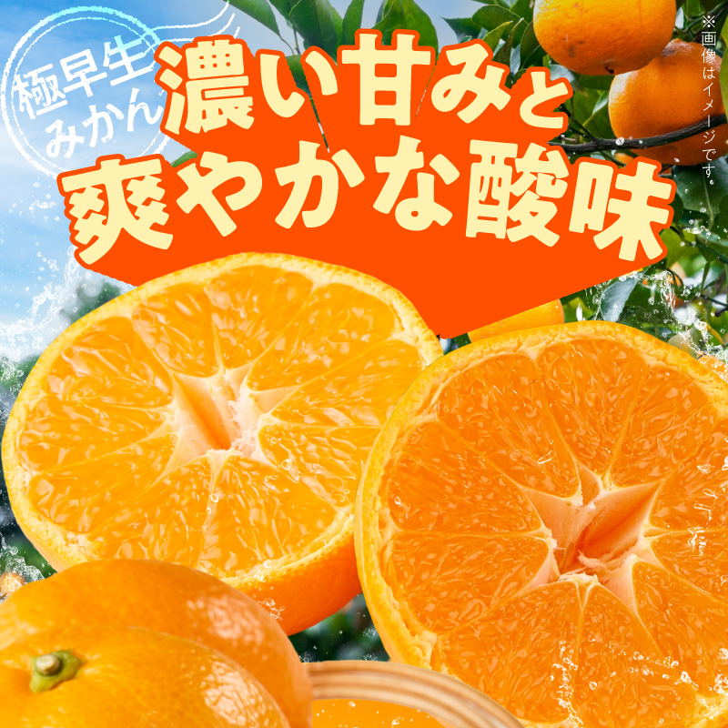 《2026年11月上旬～11月中旬頃までに順次発送予定》【2026年先行予約】【数量限定】有田みかん 極早生 約2.6kg 訳あり_TR1001
