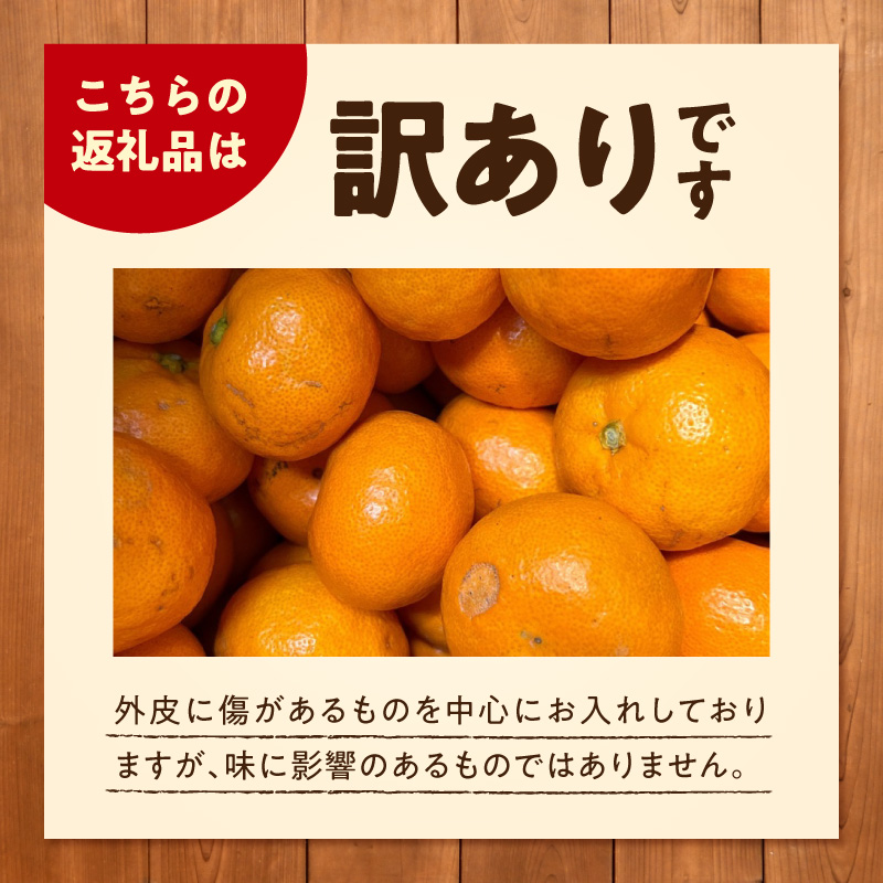 《2026年12月上旬～12月下旬頃までに順次発送予定》【2026年先行予約】【数量限定】有田みかん 早生 約2.6kg 訳あり_TR1004