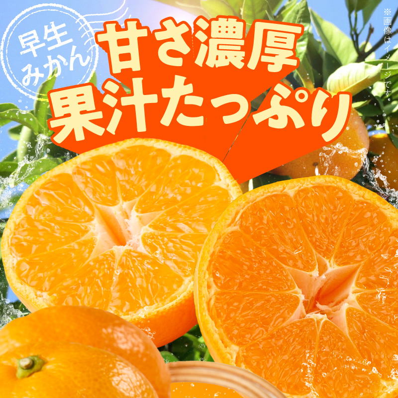 《2026年12月上旬～12月下旬頃までに順次発送予定》【2026年先行予約】【数量限定】有田みかん 早生 約2.6kg 訳あり_TR1004
