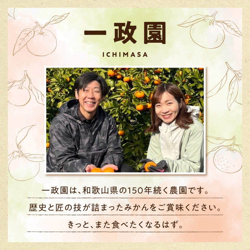 《2026年12月上旬～12月下旬頃までに順次発送予定》【2026年先行予約】【数量限定】有田みかん 早生 約2.6kg 訳あり_TR1004
