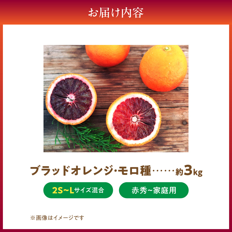 《2027年3月上旬～3月下旬頃に順次発送予定》【2027年先行予約】庄助農園のブラッドオレンジ・モロ約3kg(サイズ混合・厳選採果)_BK6021