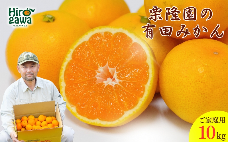 有田 みかん ご家庭用 サイズ混合 10kg / 有田みかん 温州みかん 甘い 家庭用 和歌山 柑橘 10kg ※※11月上旬～翌年3月中旬に順次発送予定【krt004-c-10】