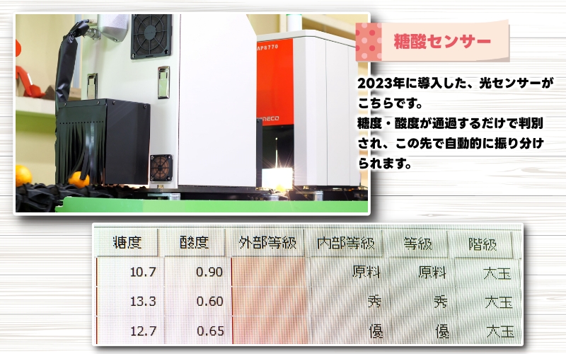 ▼【農家直送】こだわりのデコポン不知火 約5kg  有機質肥料100%　※2月中旬より順次発送予定　※北海道・沖縄・離島への配送不可（お届け日指定不可） 【nuk010-r-5A】