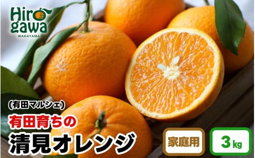 【産地直送】有田 育ちの ご家庭用 完熟 清見 オレンジ 3kg ※2月下旬～3月下旬頃に順次発送予定 ※北海道・沖縄・離島への配送不可 / みかん 和歌山 有田 オレンジ フルーツ 果物 甘い【ard011-c-3】