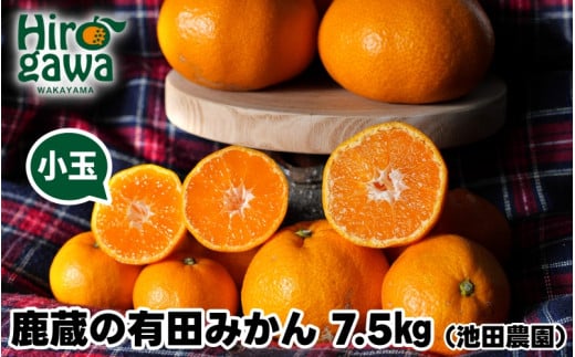 鹿蔵の 有田みかん 家庭用 わけあり 7.5kg+250g(痛み補償) 小さな (S以下) 先行予約 光センサー選果　※北海道・沖縄・離島への配送不可 / 温州みかん 痛み補償 果物 フルーツ くだもの 【ikd004-cs-7d5-nov】