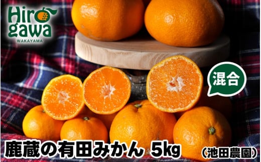 鹿蔵の 有田みかん 家庭用 わけあり 5kg+250g( 痛み補償 ) サイズ混合 (2S〜2L) 先行予約 光センサー選果　※北海道・沖縄・離島への配送不可 / 温州みかん 痛み補償 果物 フルーツ くだもの 【ikd004-cm-5-nov】