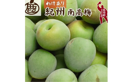 紀州 南高梅 ( 梅 青梅 ) 家庭用 1.2kg+36g（痛み補償分）＜6月発送＞ 訳あり 梅干し 梅酒 梅ジュース 朝摘み とれたて 直送便 和歌山 ※北海道・沖縄・離島への配送不可【ikd508-c-1d2】