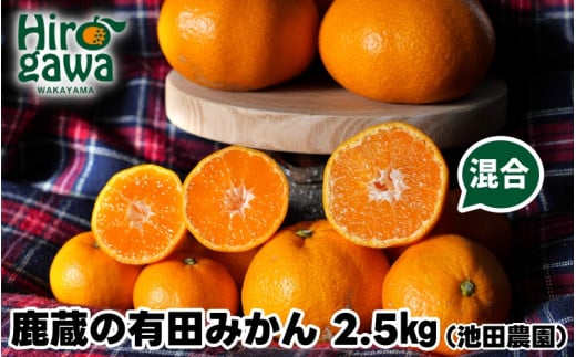 鹿蔵の 有田みかん 家庭用 わけあり 2.5kg+250g(痛み補償) サイズ混合 (2S〜2L) 先行予約 光センサー選果　※北海道・沖縄・離島への配送不可 / 温州みかん 痛み補償 果物 フルーツ くだもの 【ikd004-cm-2d5-nov】