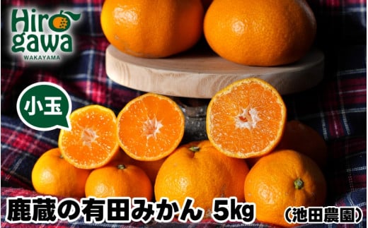 鹿蔵の 有田みかん 家庭用 わけあり 5kg+250g(痛み補償) 小さな (S以下) 先行予約 光センサー選果　※北海道・沖縄・離島への配送不可 / 温州みかん 痛み補償 果物 フルーツ くだもの 【ikd004-cs-5-nov】